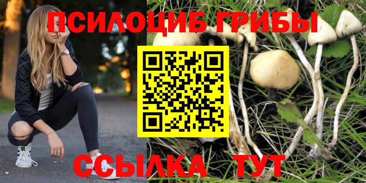 Галлюциногенные грибы ЛСД  Псилоцибиновые грибы Magic Shrooms  Вход с VPN  Белая Калитва 